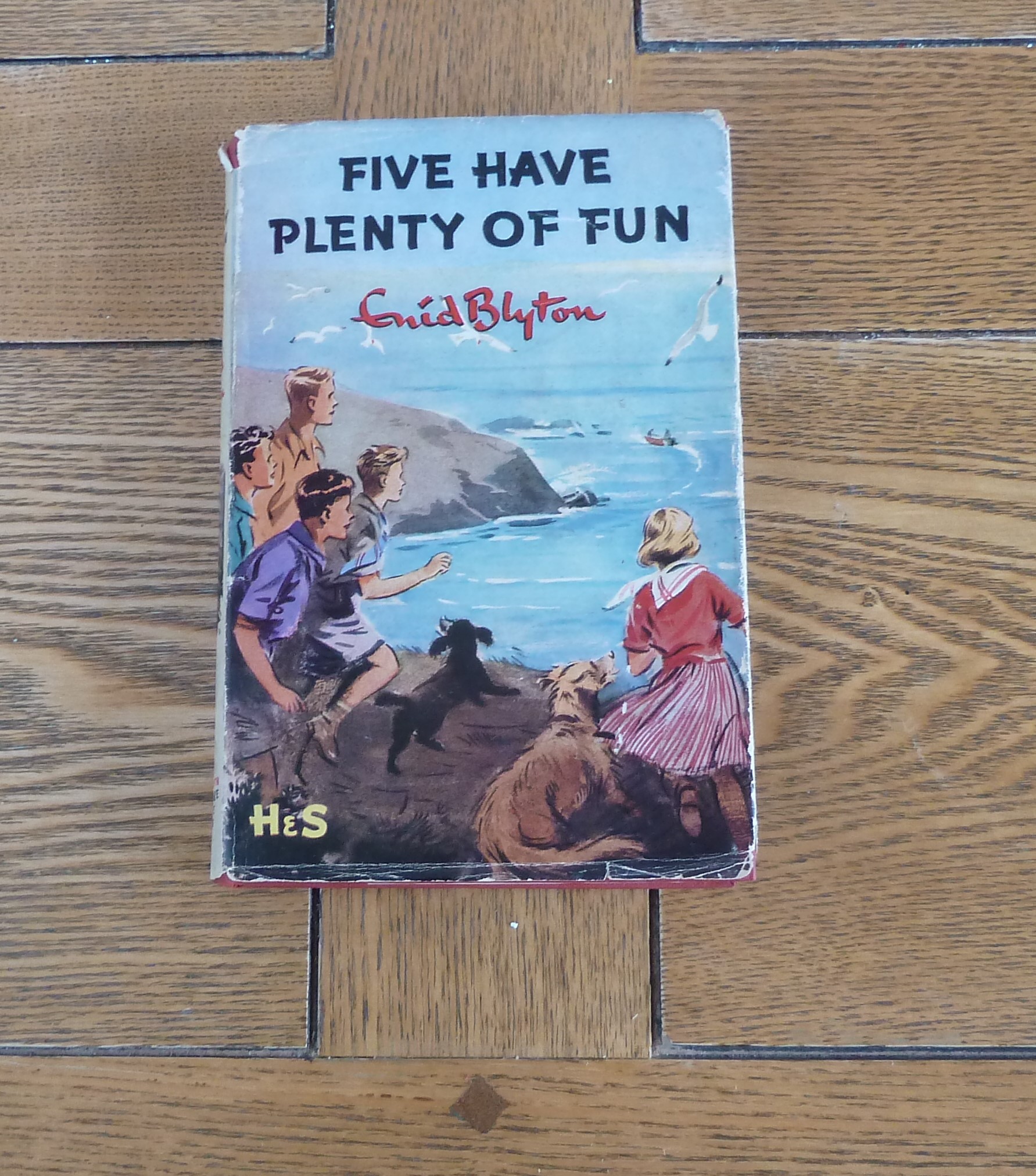 Five have Plenty of Fun by Enid Blyton