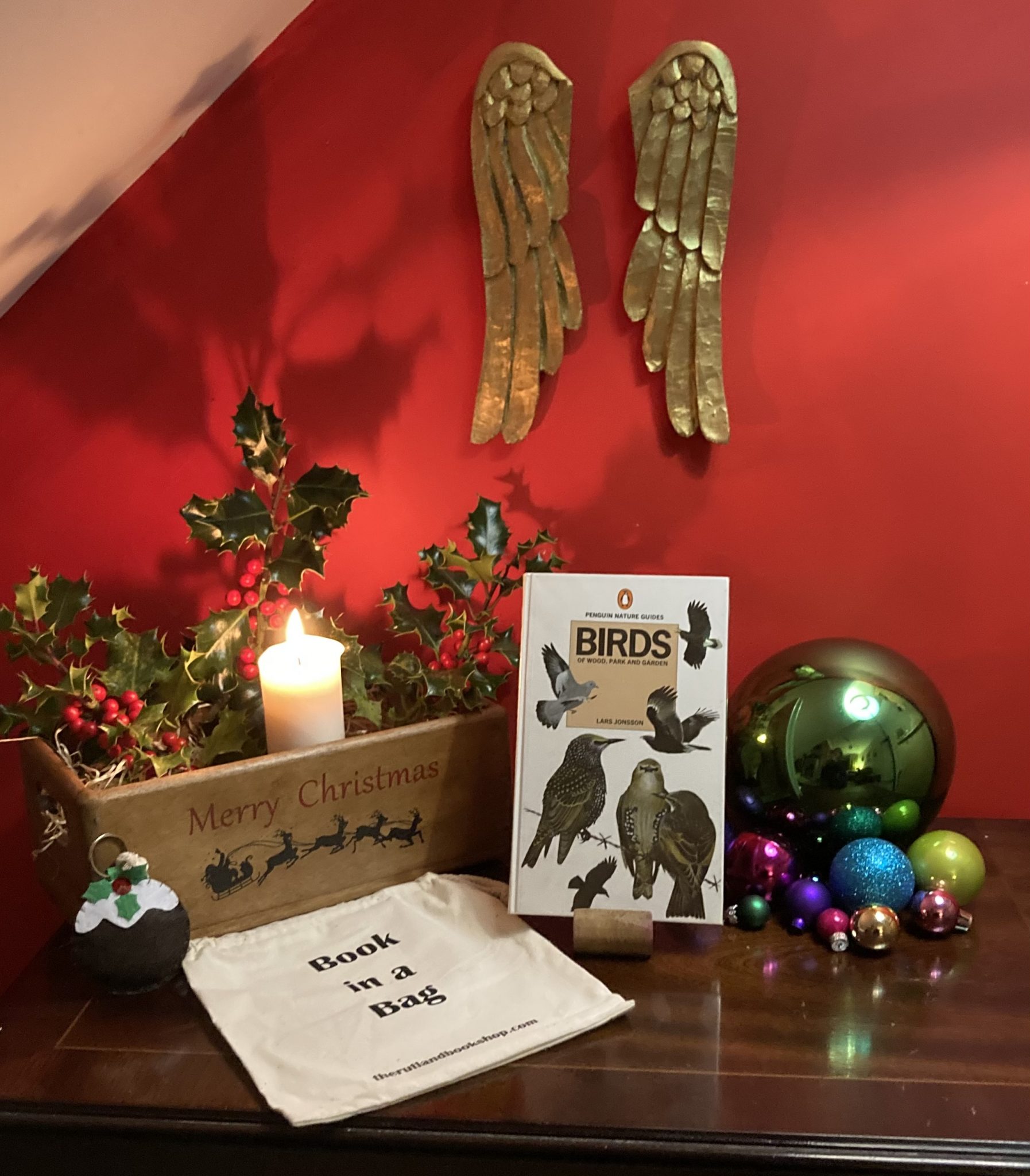 Christmas Book in a Bag: Penguin Nature Guides – Birds
